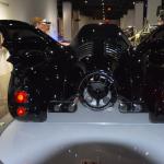 Peterson_091 (July 28, 2019)